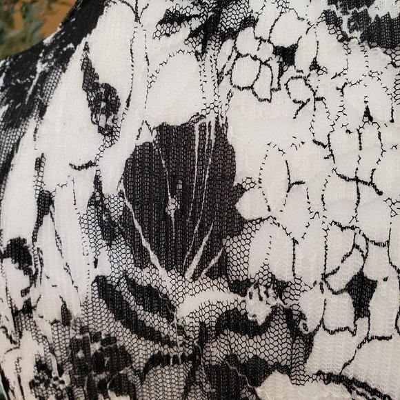Button Down Black and White Lace Blouse - Picture 7 of 15